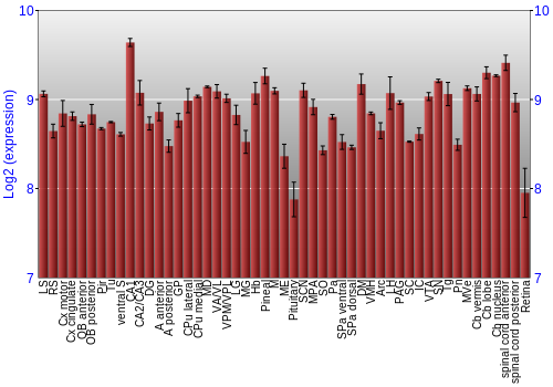 Expression graph