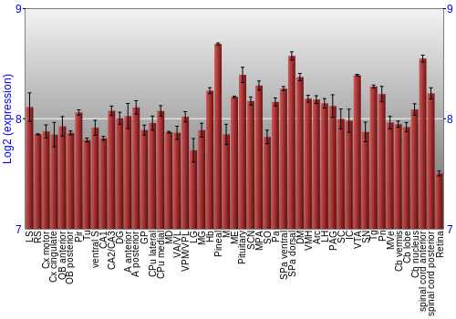 Expression graph
