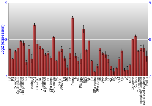 Expression graph
