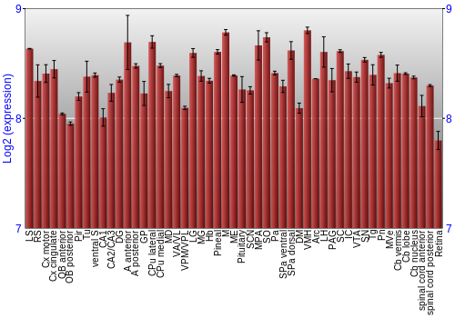 Expression graph