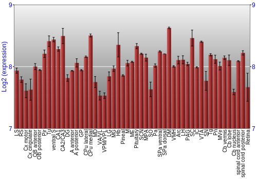 Expression graph