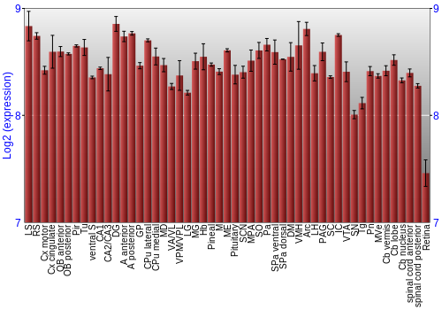 Expression graph