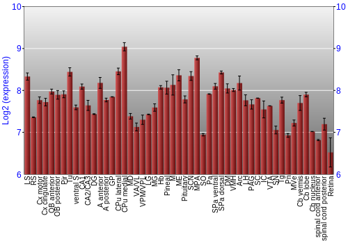 Expression graph
