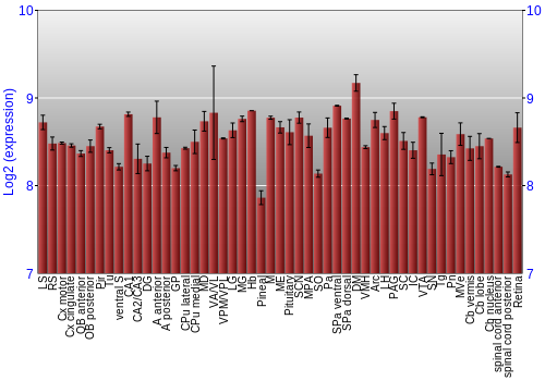 Expression graph