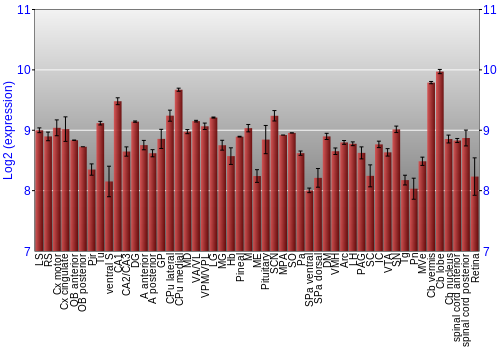 Expression graph