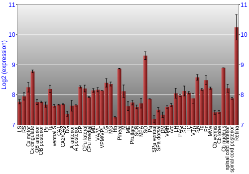 Expression graph