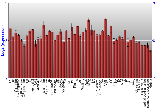 Expression graph