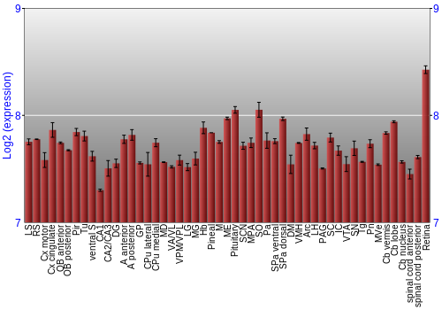 Expression graph