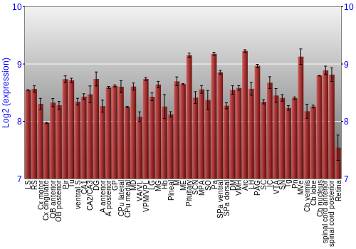Expression graph