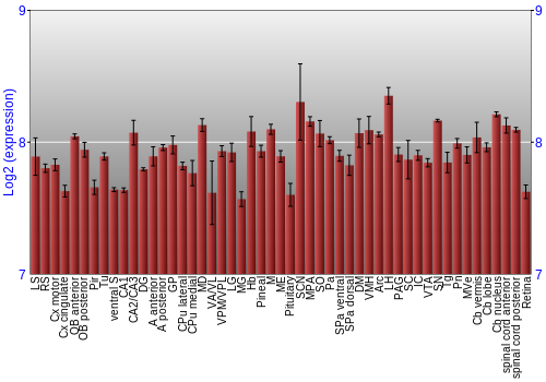Expression graph
