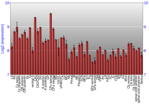 Expression graph