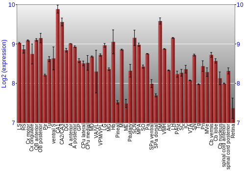 Expression graph