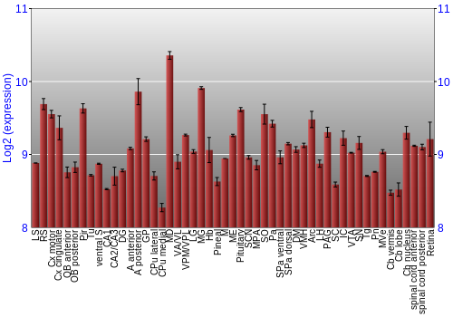 Expression graph