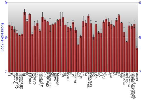 Expression graph