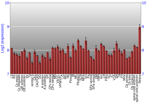 Expression graph