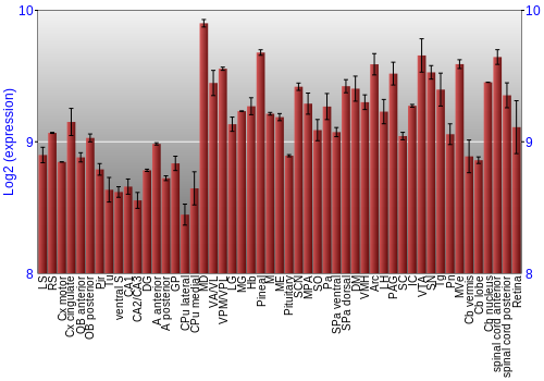 Expression graph