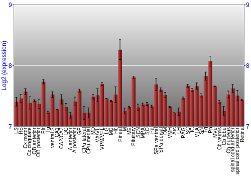 Expression graph