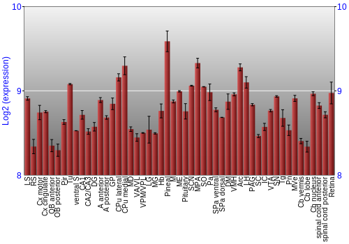 Expression graph