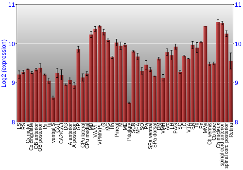 Expression graph