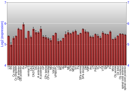 Multi-state expression graph