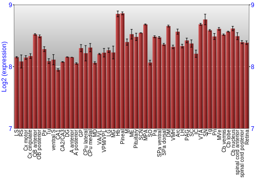 Expression graph
