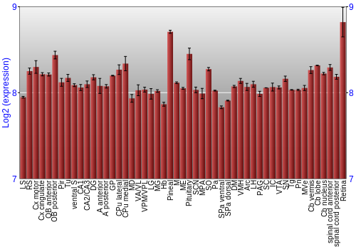 Expression graph