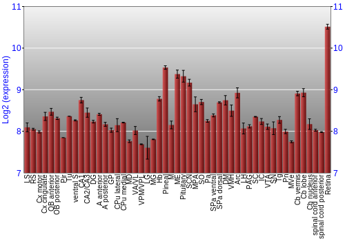 Expression graph