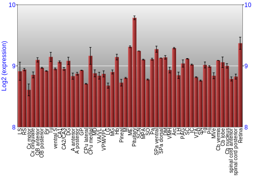 Expression graph