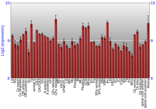 Expression graph