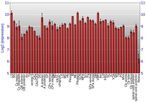 Expression graph
