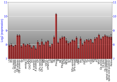 Expression graph