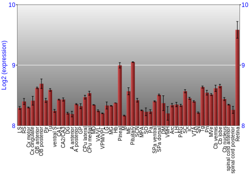 Expression graph