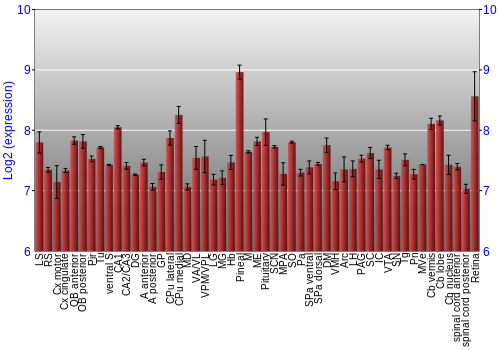 Expression graph