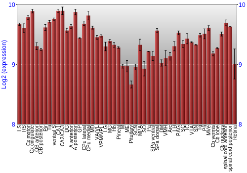 Expression graph