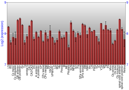 Expression graph