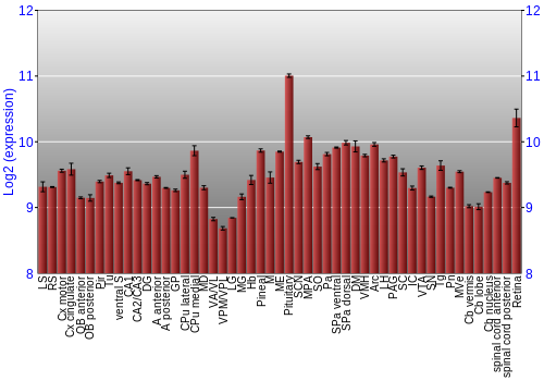 Expression graph
