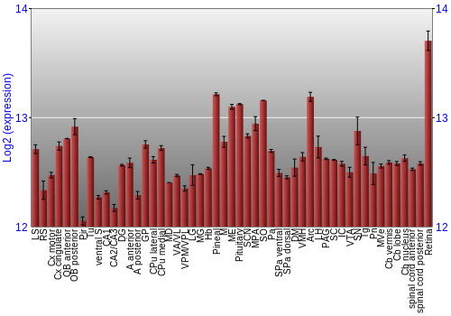 Expression graph