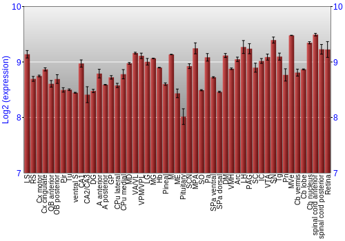 Expression graph