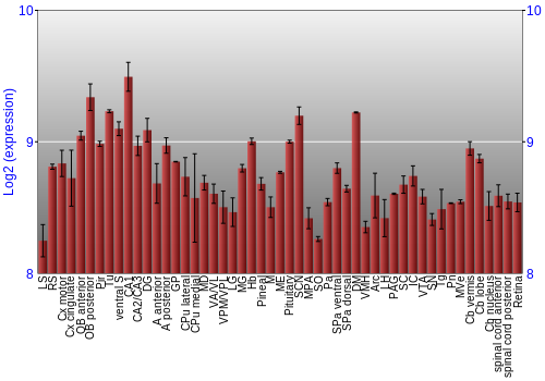 Expression graph