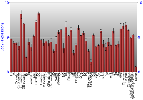 Expression graph