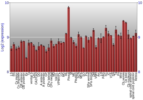Expression graph