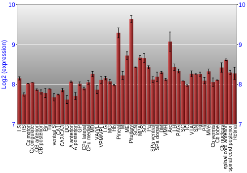 Expression graph