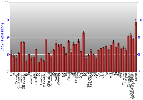 Expression graph