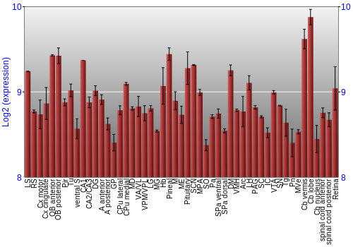 Expression graph