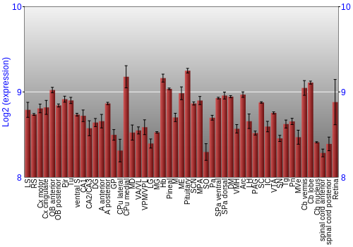 Expression graph