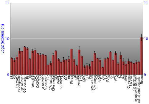 Expression graph