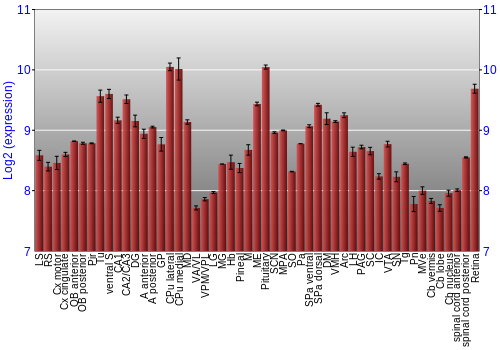 Expression graph