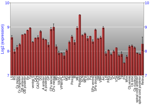 Expression graph