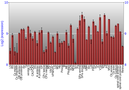 Expression graph
