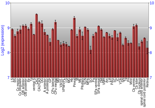 Expression graph